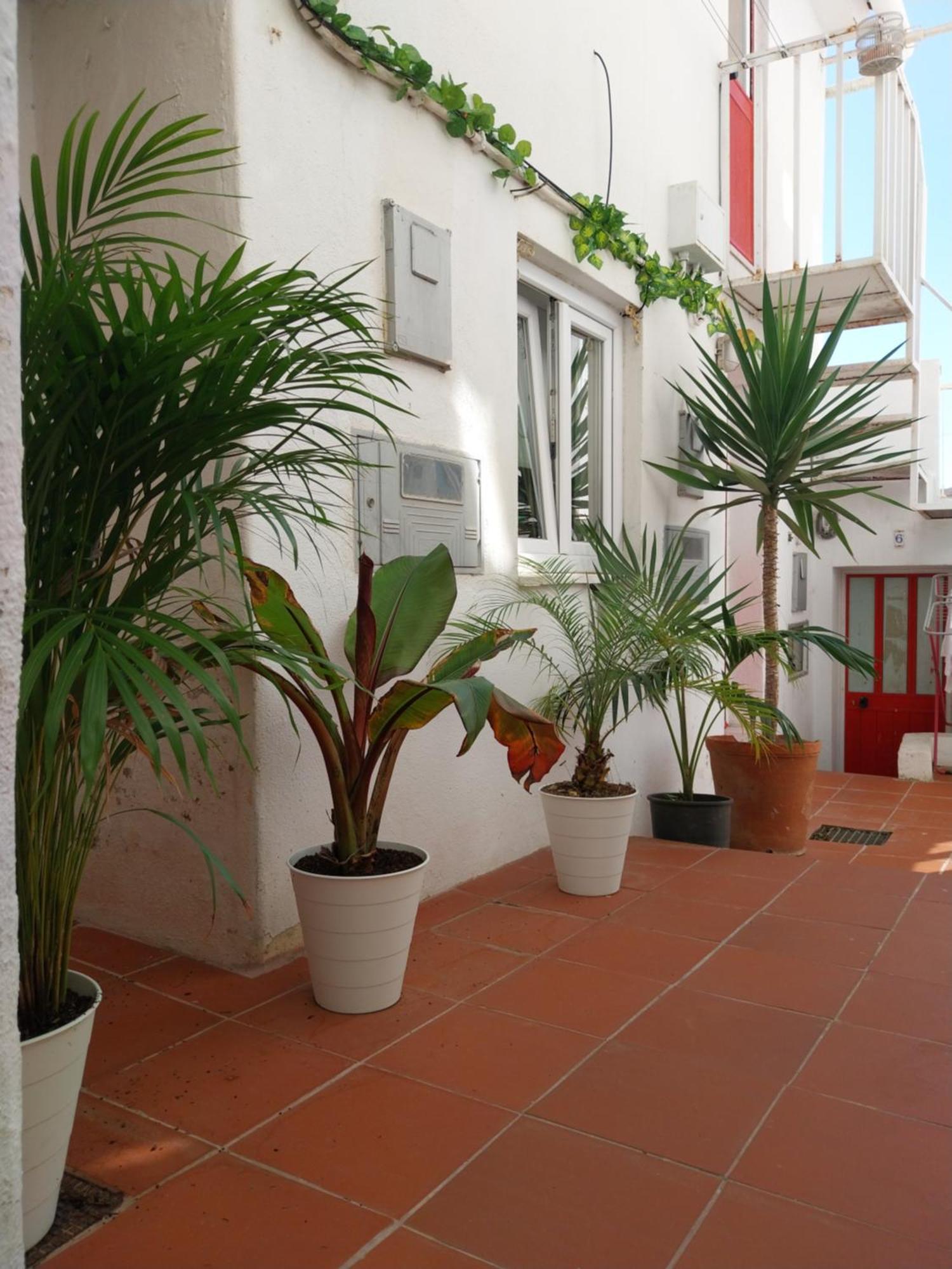 Vila Das Olarias - Mini Studios リスボン エクステリア 写真